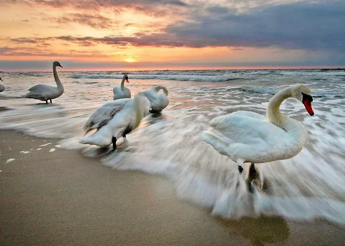 Lejlighed Solna 305 Centrum