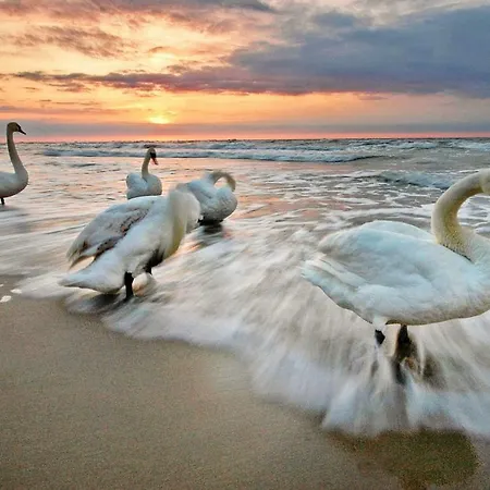 Apartment Solna 305 Centrum