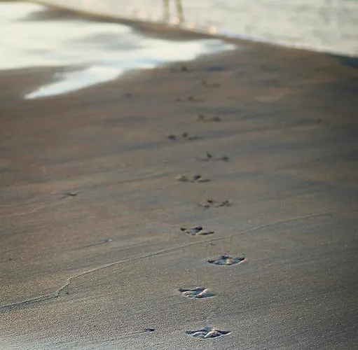 Apartment Solna 305 Centrum